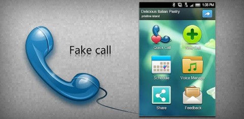 fakecall