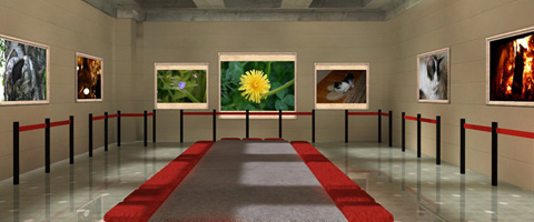 Photo 3D Album