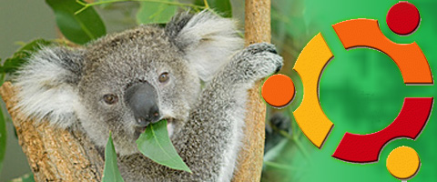 KarmikKoala
