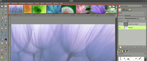 gimp 2-8