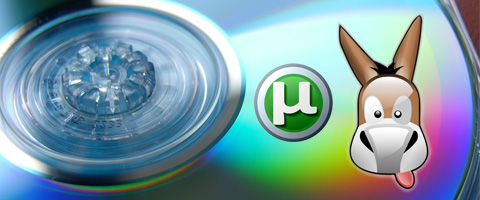 cd pirateria
