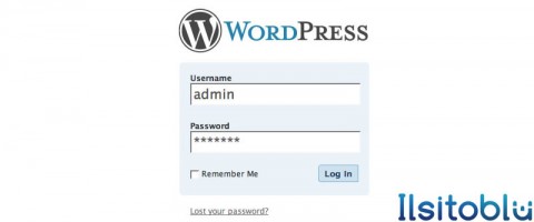 Wordpress-3