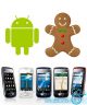 Android Gingerbread Lg Optimus One