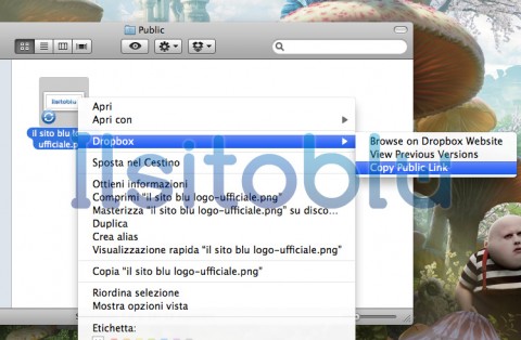 copy-public-link