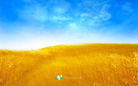 windows 8 bliss wallpaper